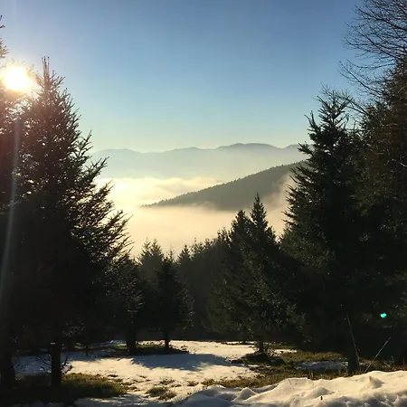 Chamois Rouge * Geishouse