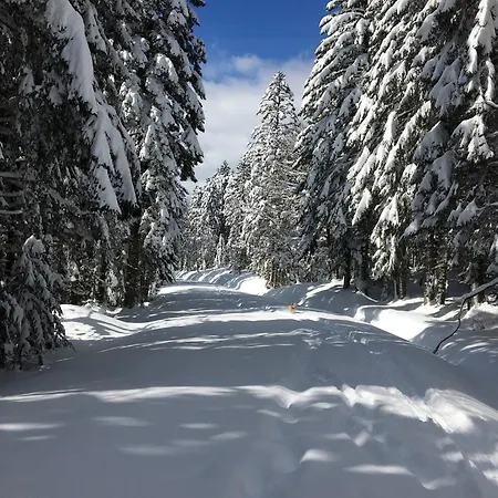 Ferienhaus Chamois Rouge