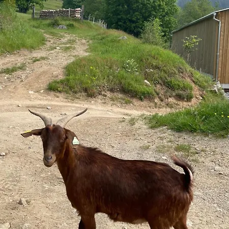 Chamois Rouge Ferienhaus