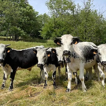 Chamois Rouge بيت للعطل Geishouse